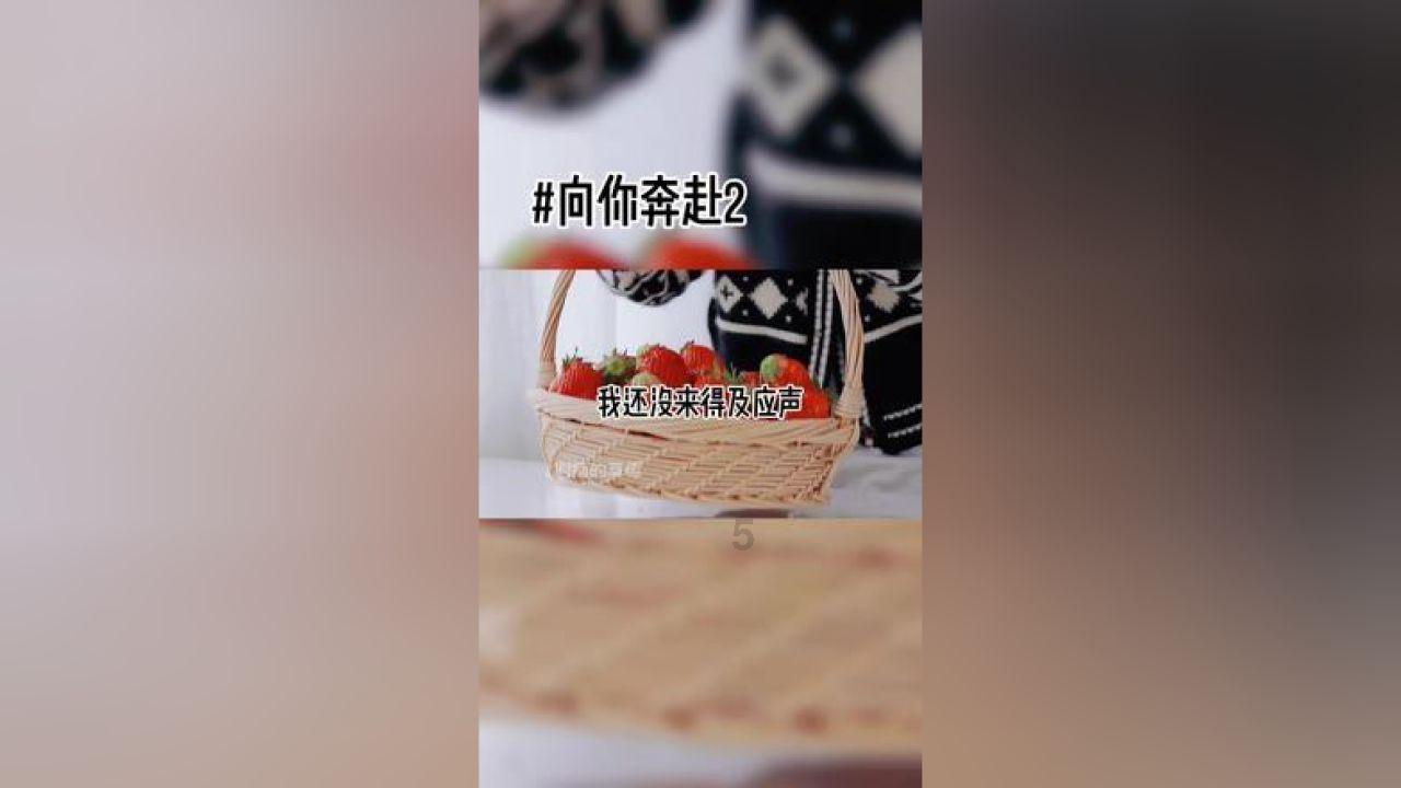 运河今日速览|国际旅游今年有望恢复至疫情前水平