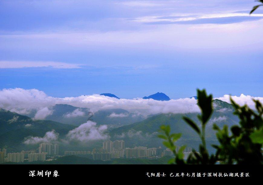 逃出林中村