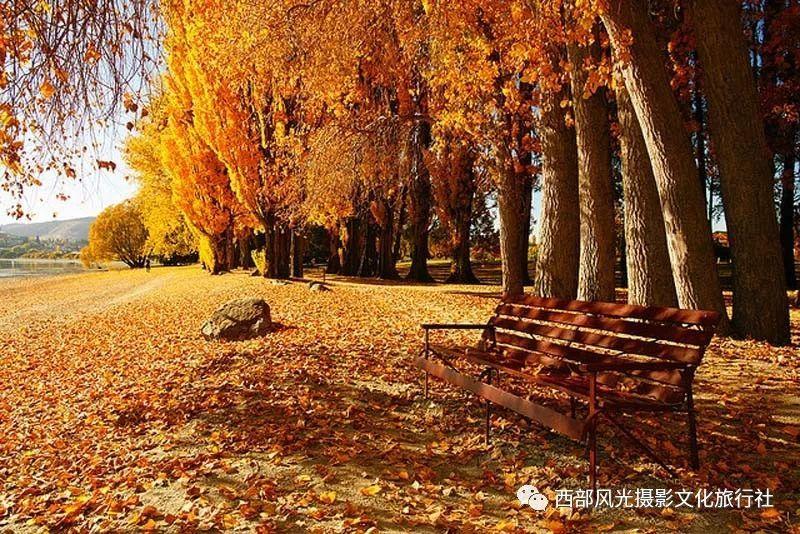 「道家术语」真气还是真炁？