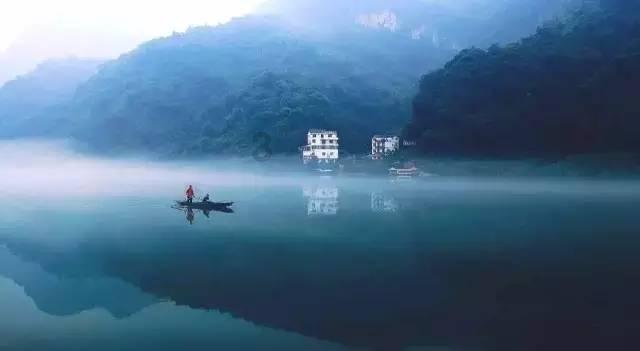 宠物世界聚会