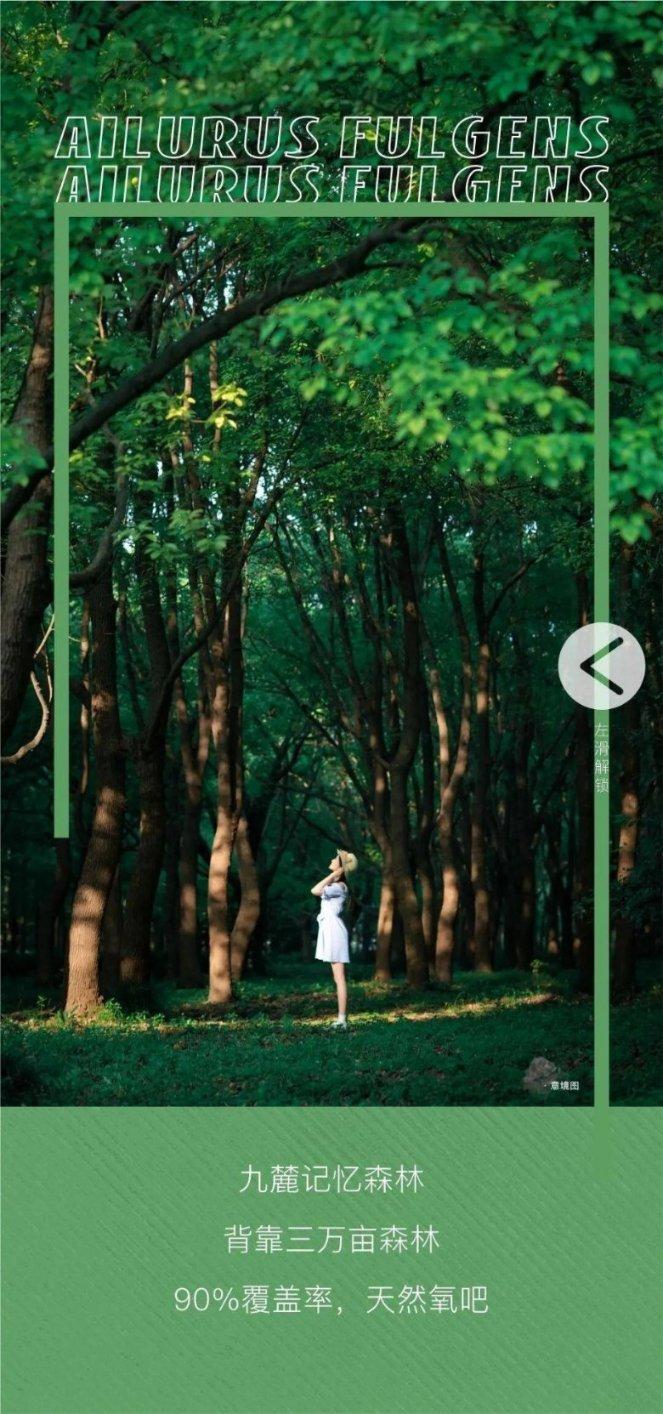 “过年吃三样,龙年财运旺”,龙年将至,3样指啥? 老传统有讲究