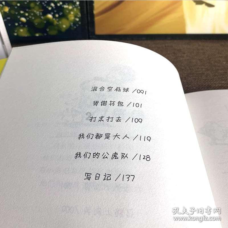 索菲亚清洁公园