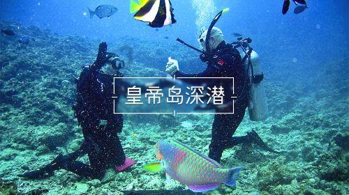 五指山番阳镇青瓜价格受寒潮天气影响海南青瓜价格逐渐上升