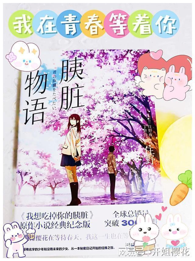 迷路的披萨配送员