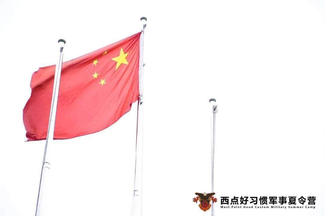 白化摇篮曲