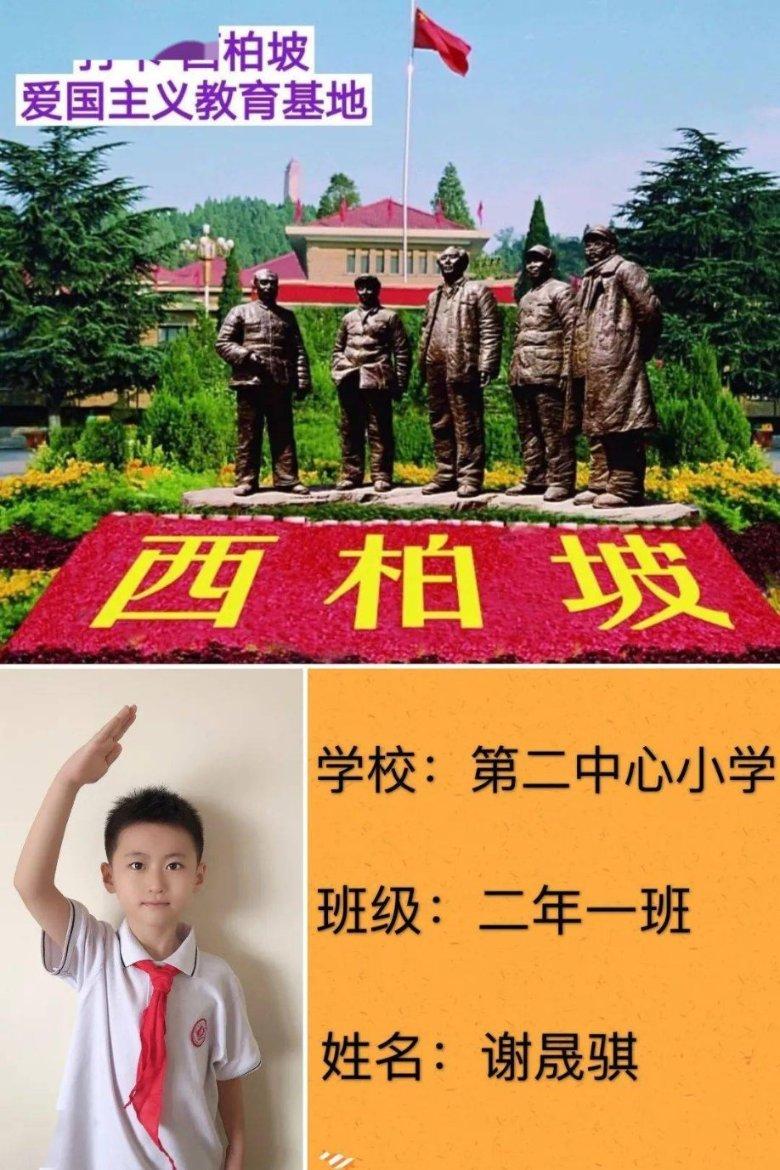 白孔雀救援