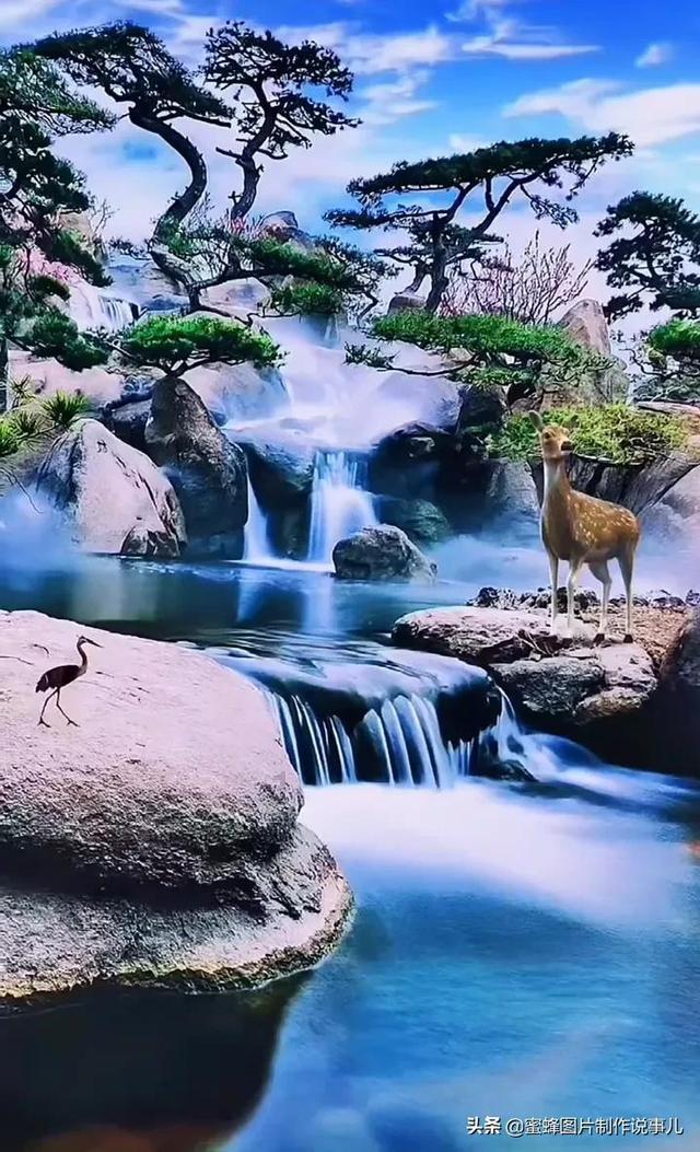 影之诗