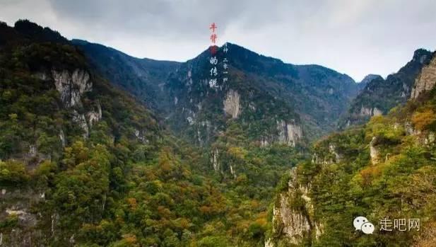 笑脸球的冒险之旅