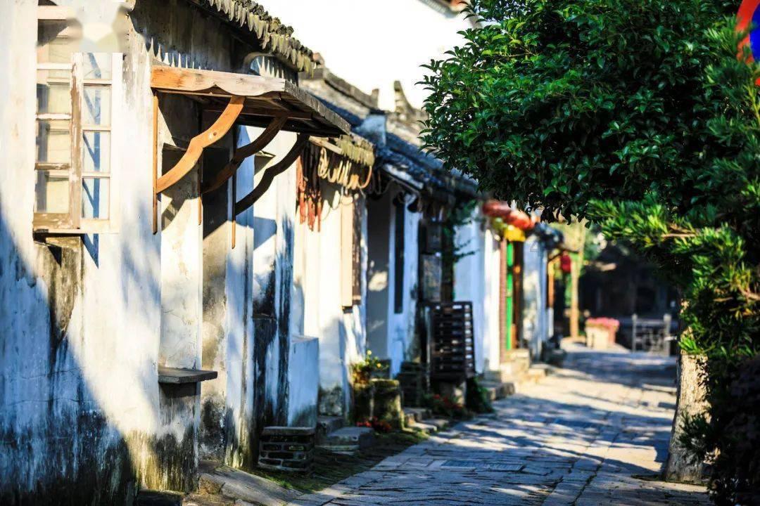 手脚冰冷吃什么好