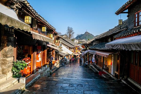 1月27日—2月9日 广阳岛→洪崖洞、洪崖洞→广阳岛观光轮渡停航