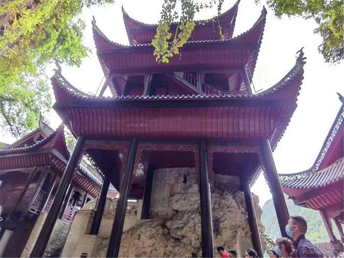 父母开车从东北到重庆陪女儿过年,带的年货摆满了整个客厅