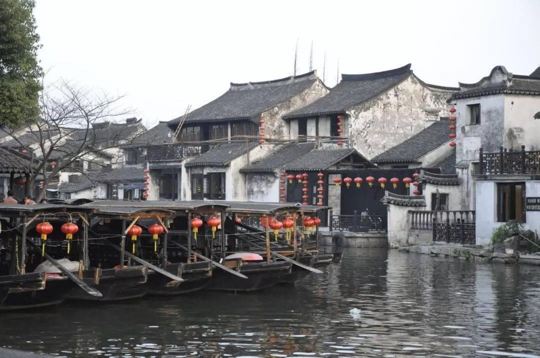 重生之玫瑰豪门